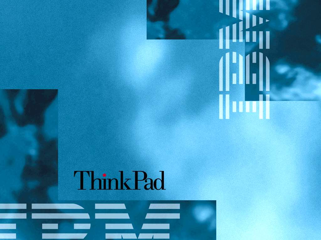  IBM